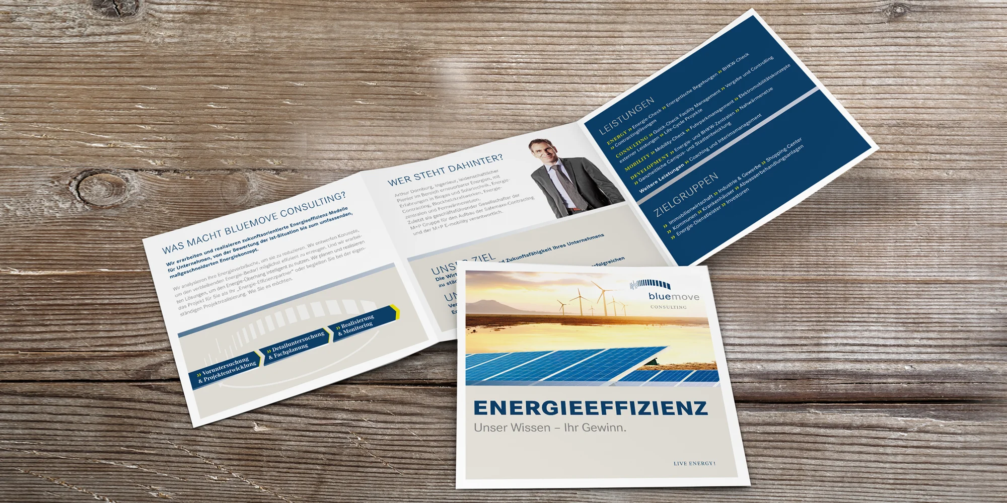  Imageflyer bluemove consulting 
