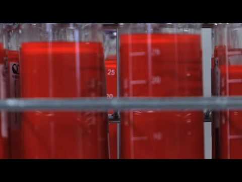 Better lighting with quantum dots. A brilliant solution