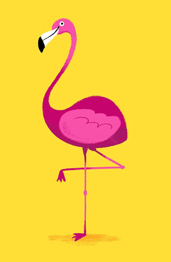 Flamingo.jpg