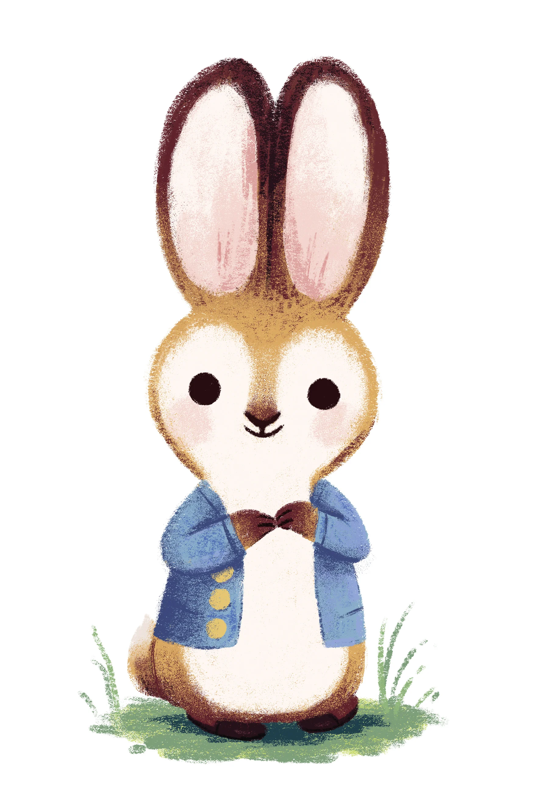 peter rabbit.jpg