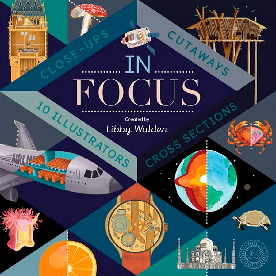 in focus.jpg