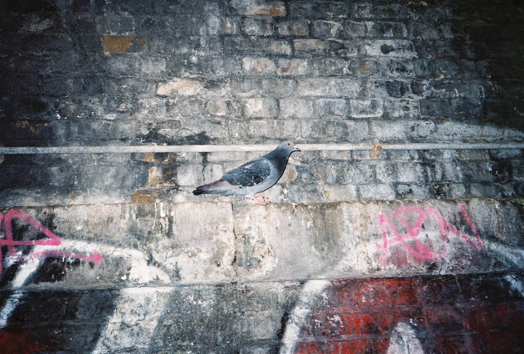0006597-R1-31-31.JPG