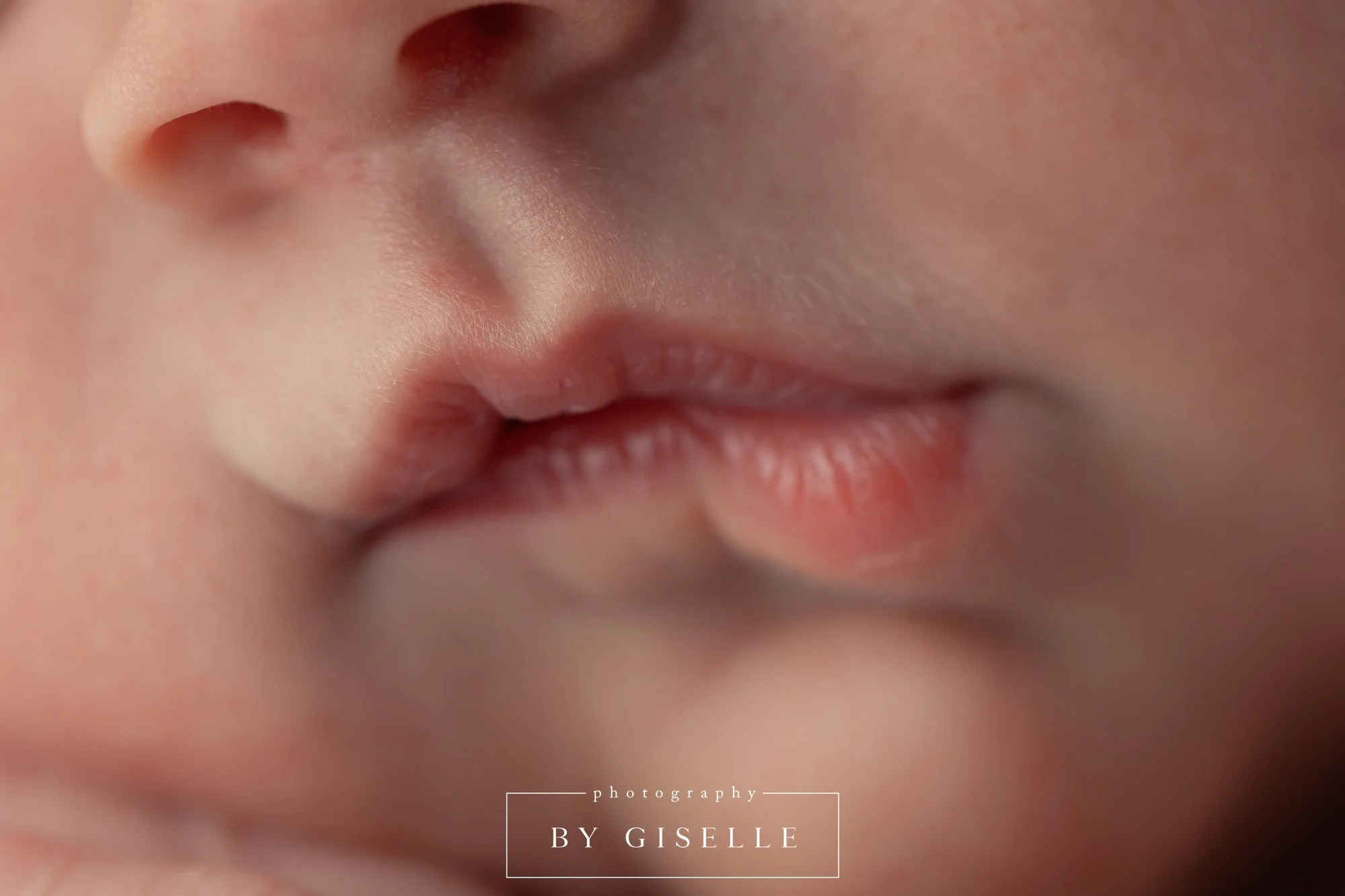 newborn photographer miami-13.jpg