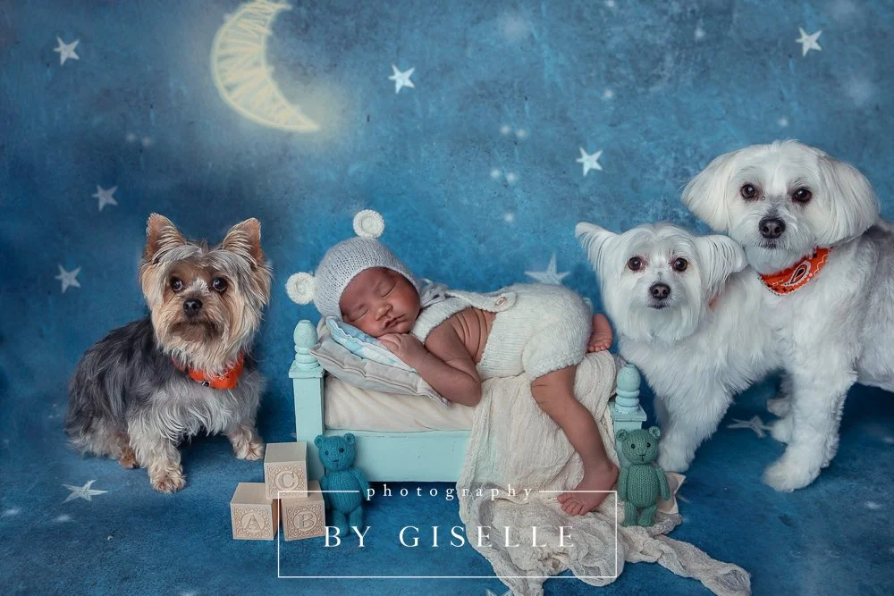 miami newborn photographer -4.jpg