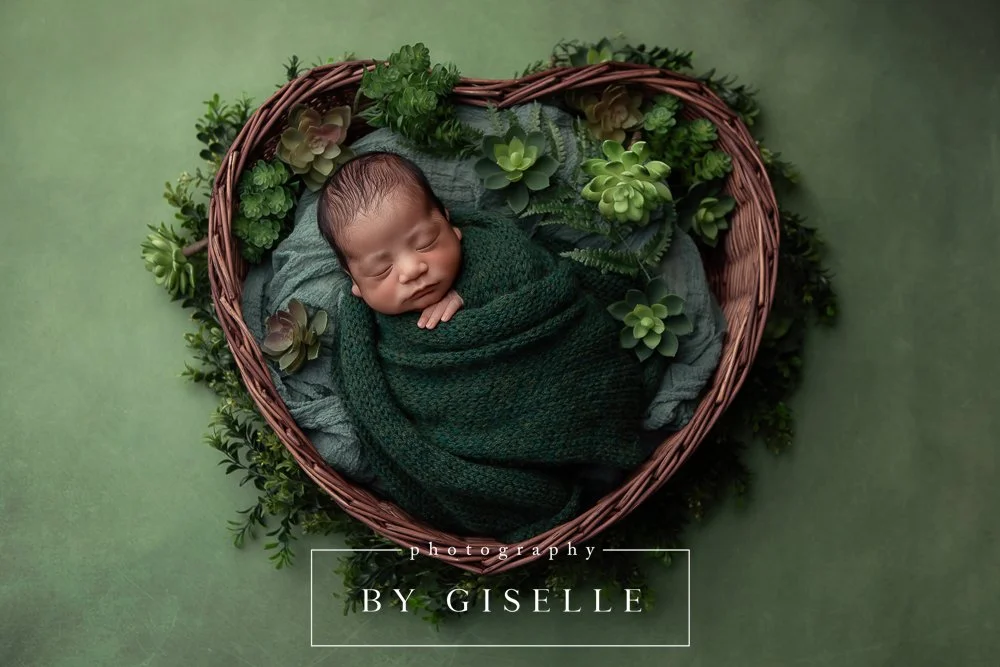 miami newborn photographer .jpg