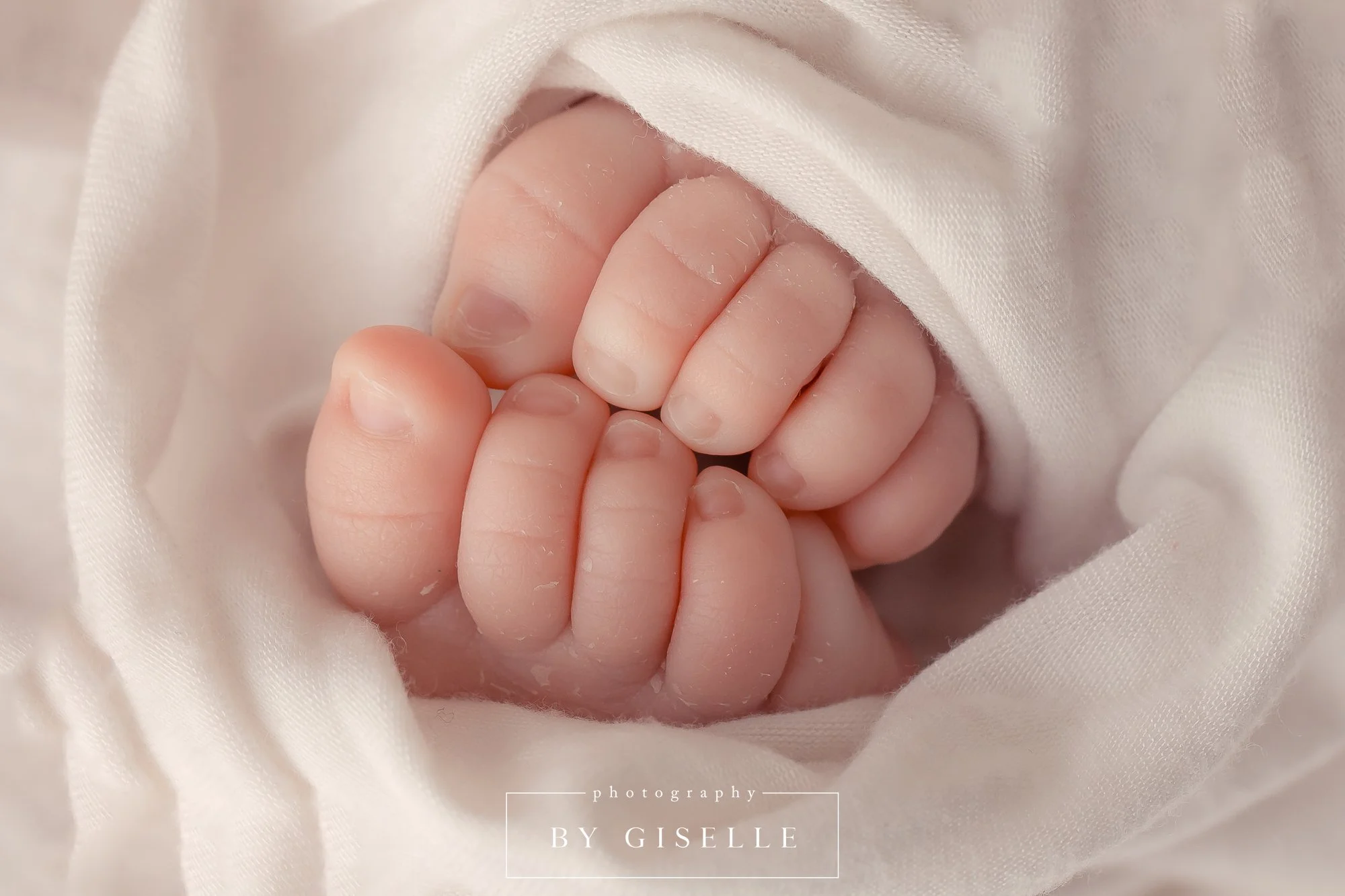 miami newborn photographer photography by giselle-9.jpg