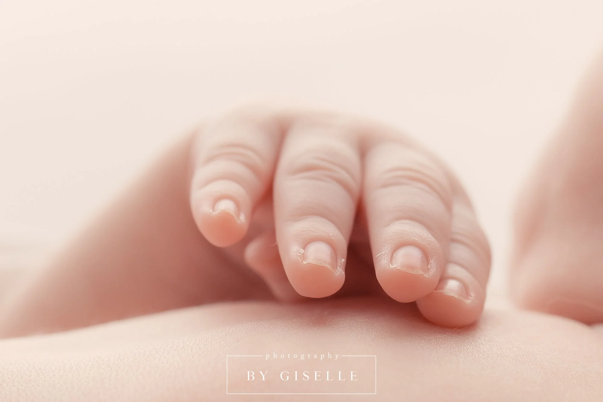 miami newborn photographer photography by giselle-10.jpg
