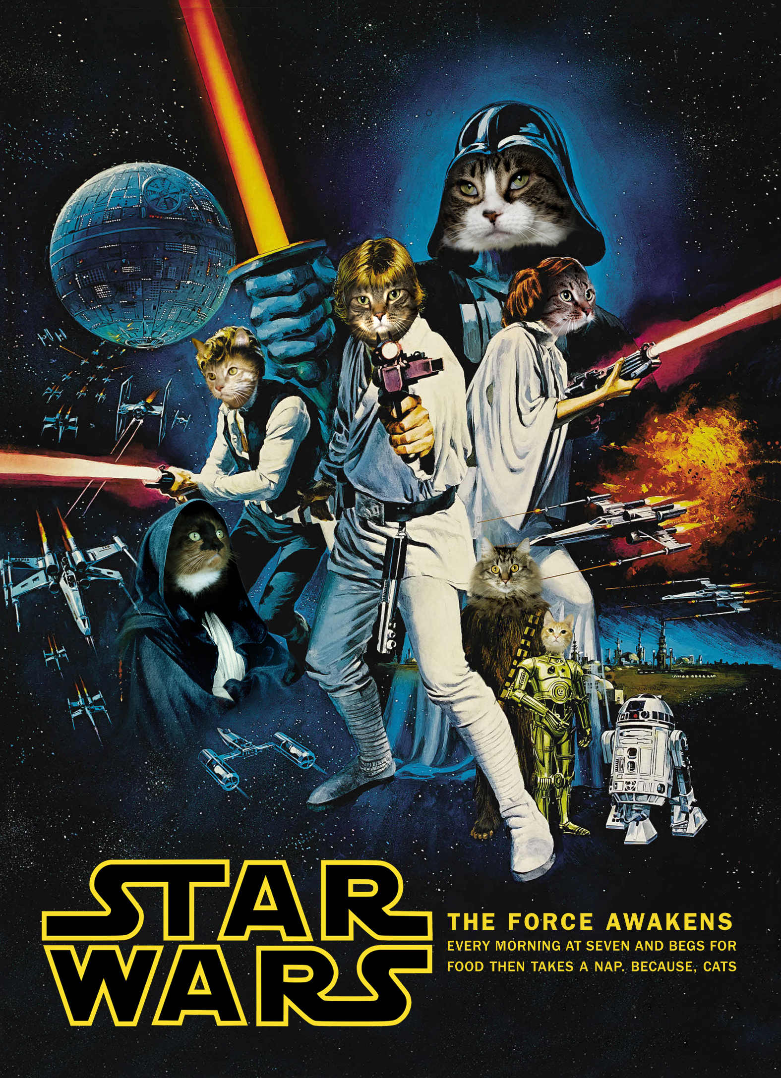 The-Artful-Union-Holiday-Cat-Star-Wars.jpg