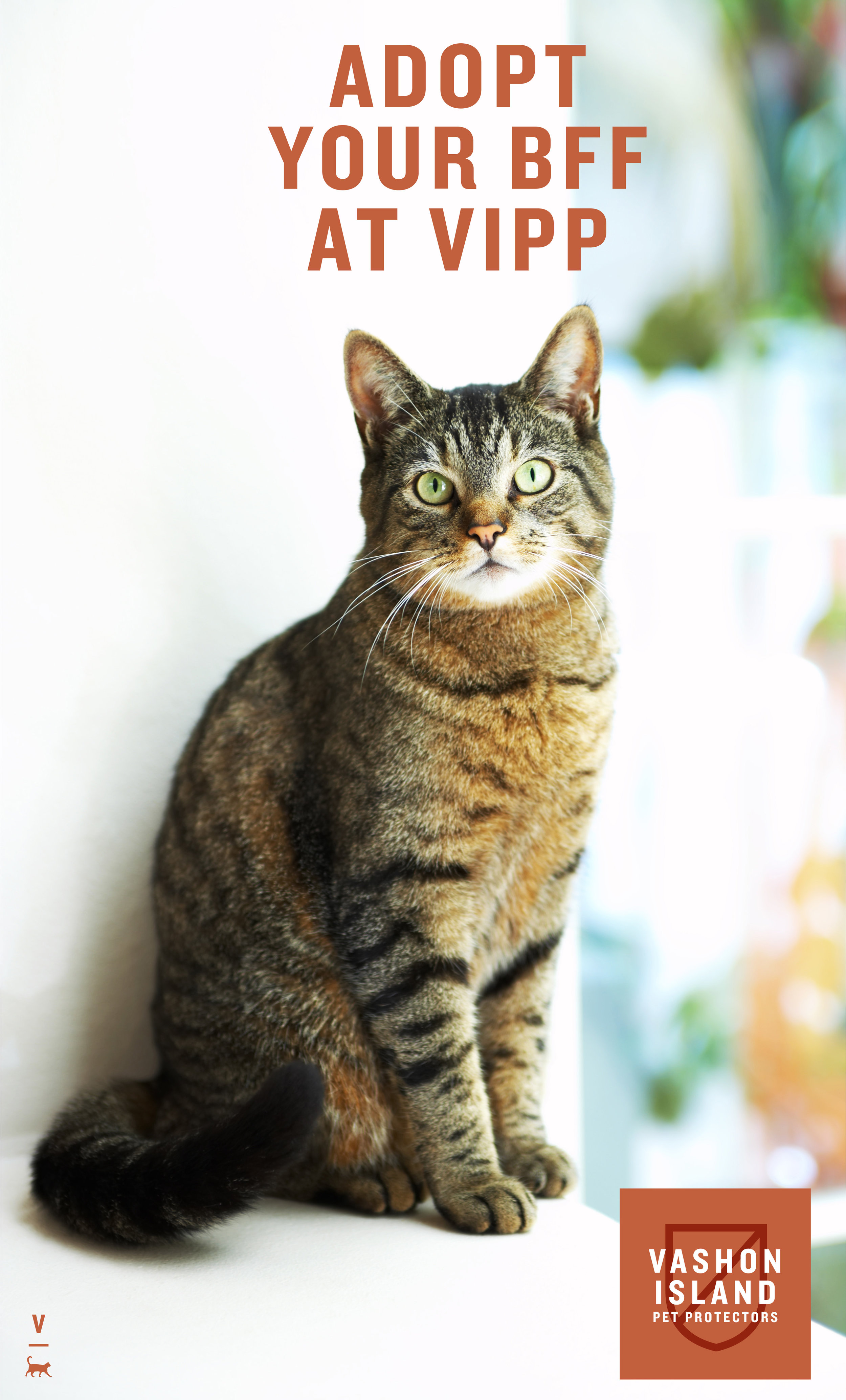 AU_VIPP_AD_01_SHCAT.jpg