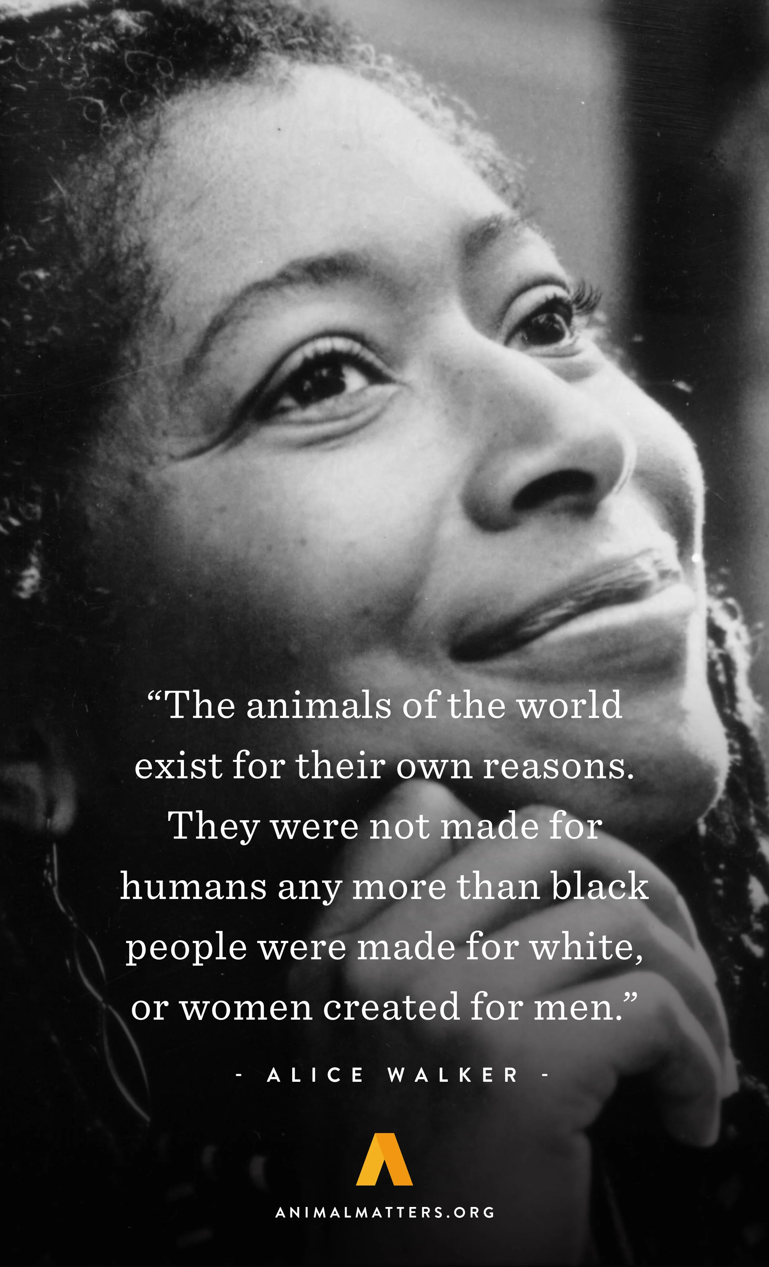 Animal-Matters-Alice-Walker-Quote-Rights-Poster-Ad-Design-FARM.jpg