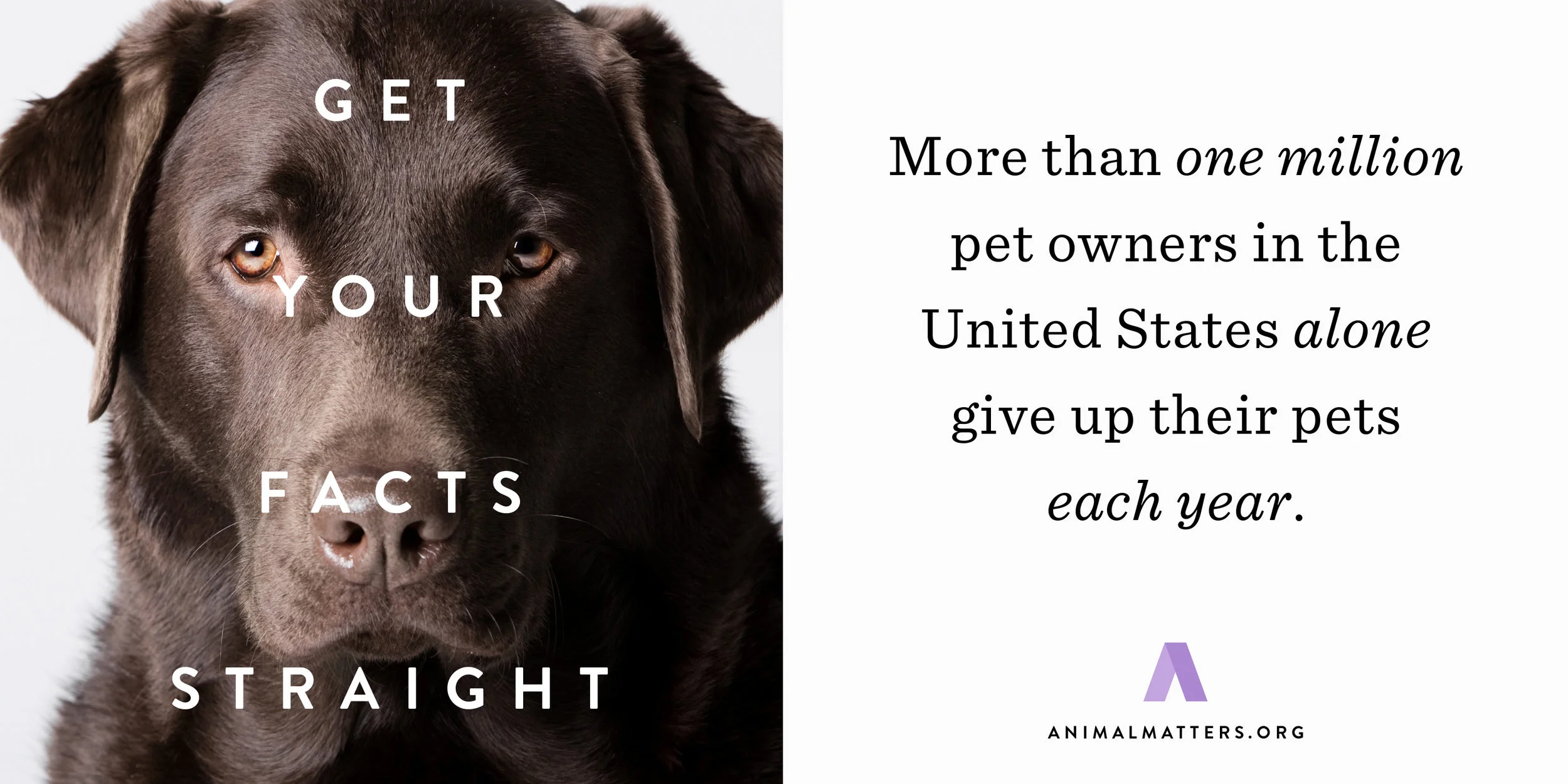 Animal-Matters-Dog-Pet-Owner-Fact.jpg