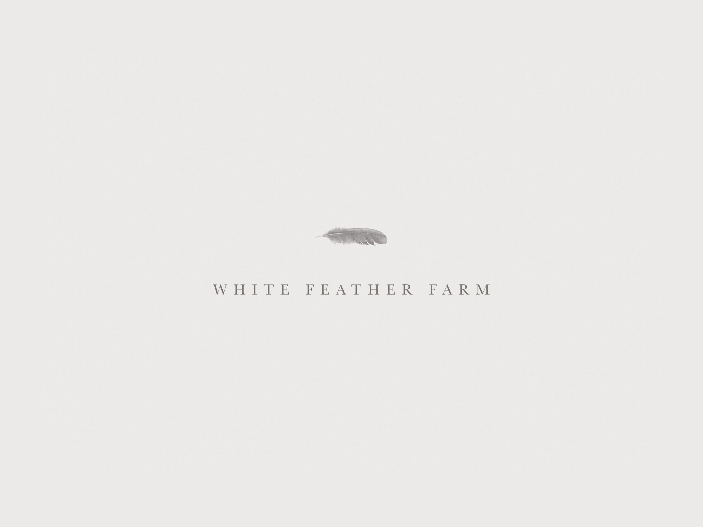 White Feather Farm Logo by The Artful Union