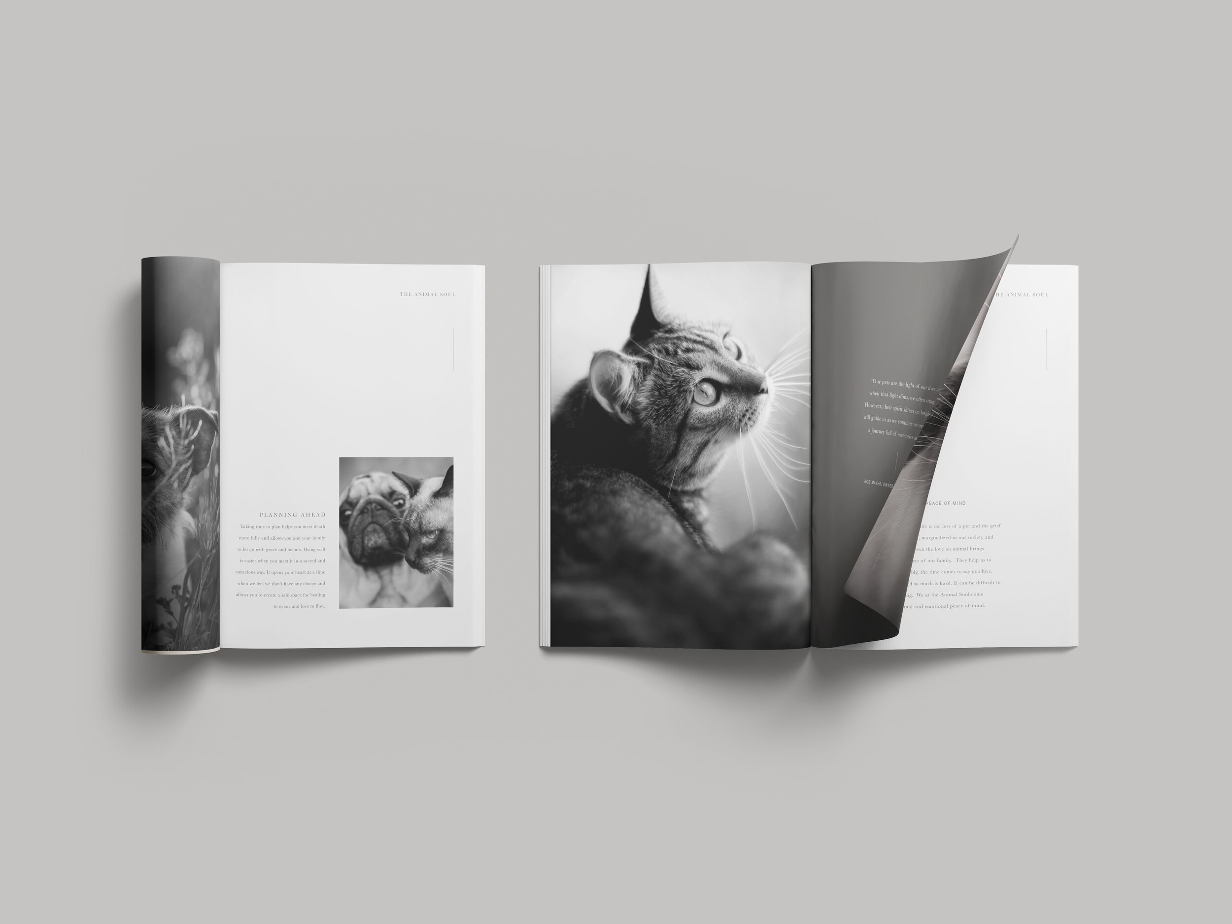 Animal-Soul-Delaware-Pet-Cremation-Booklet2.jpg