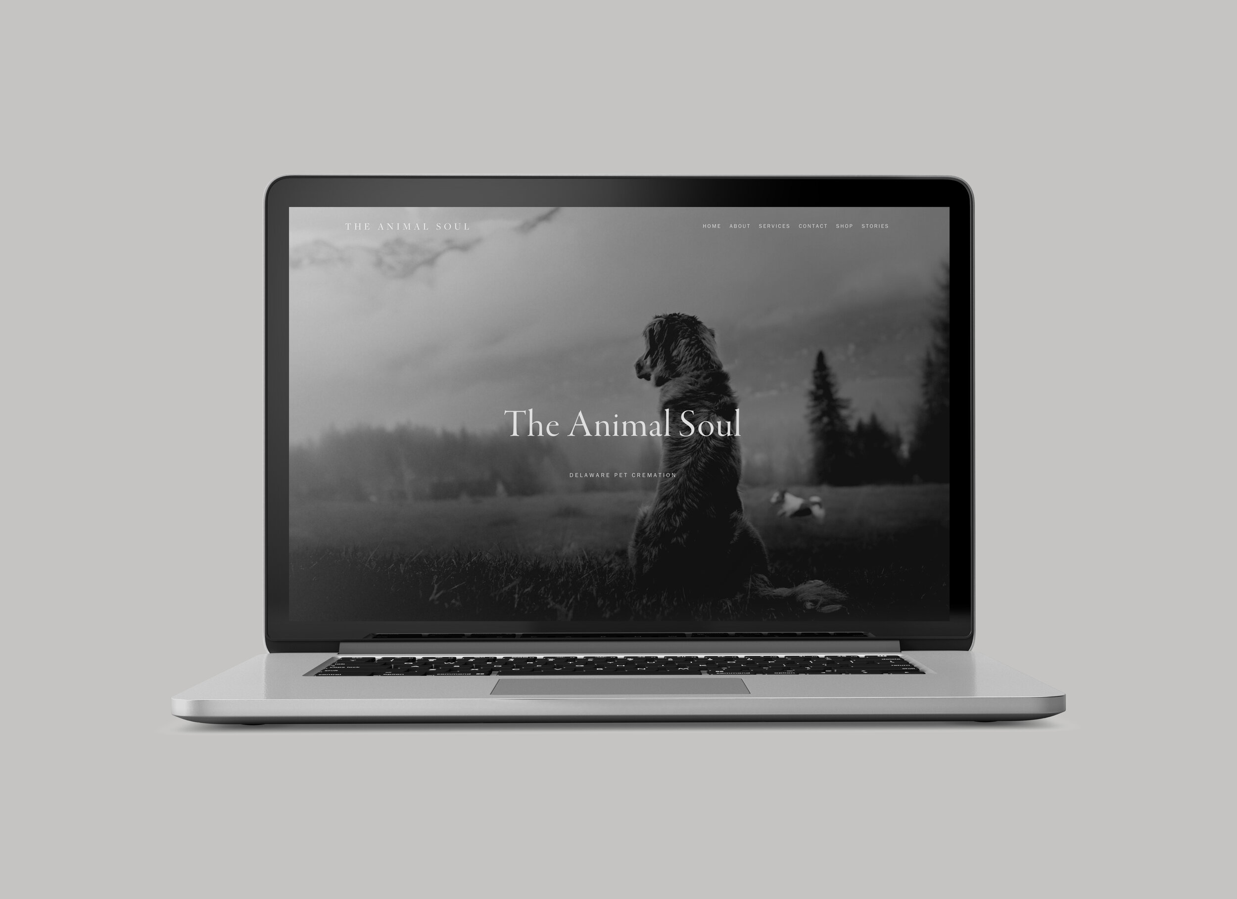 Delaware-Pet-Cremation-Animal-Soul-Website-Design-Grey.jpg