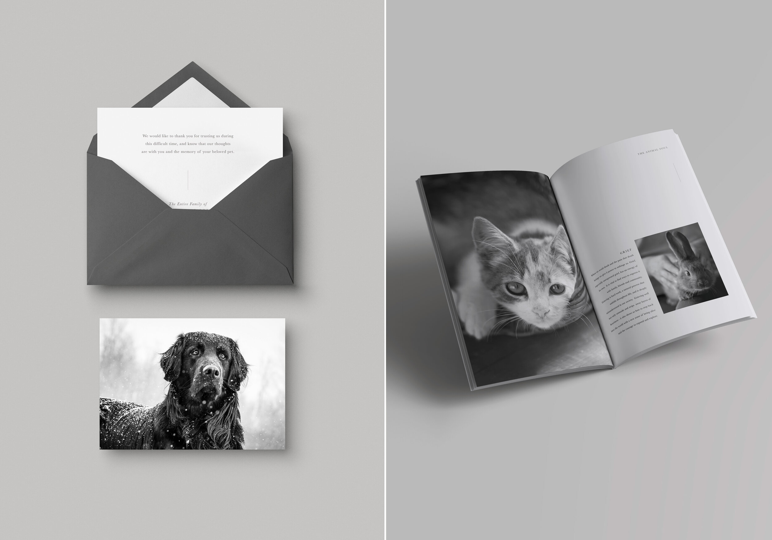 Animal-Soul-Delaware-Pet-Cremation-CondolenseCard-Booklet-Dog-Cat.jpg
