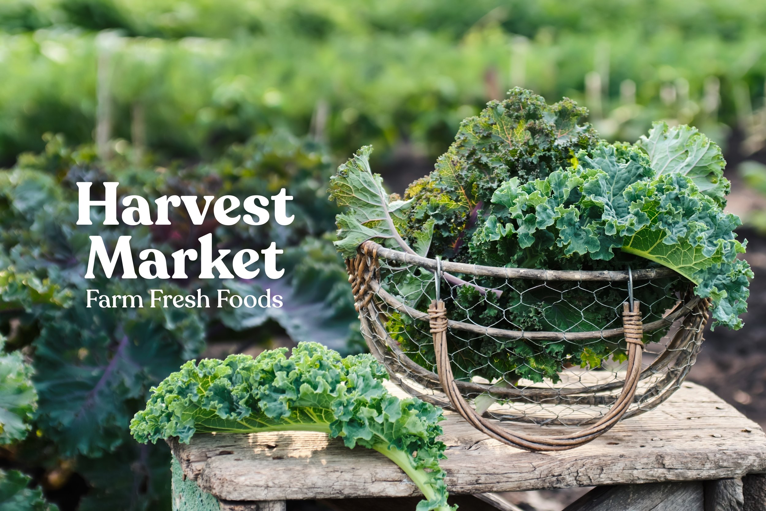 Artful-Union-Harvest-Farm-Market-Logo-Garden copy.jpg