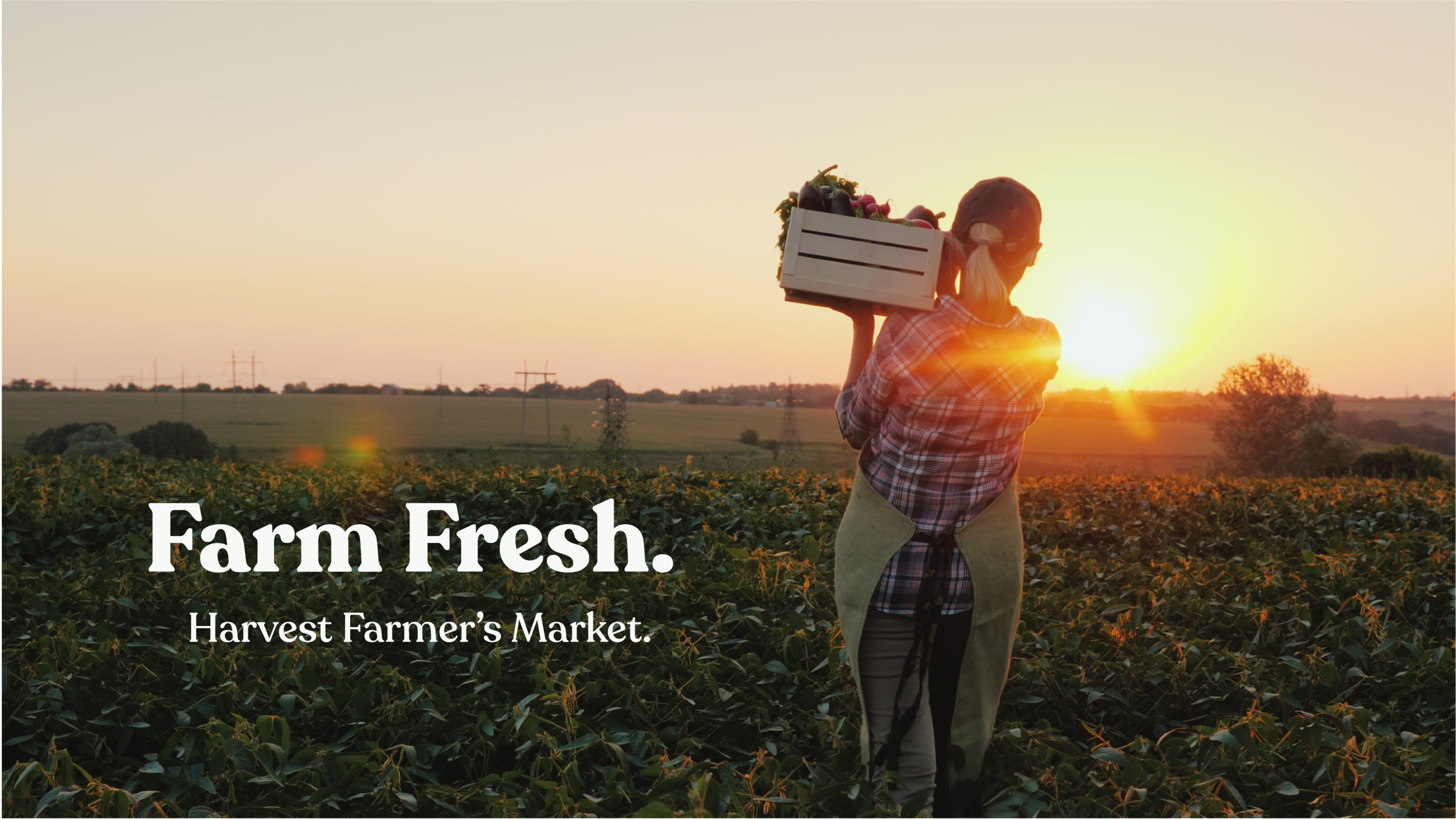 Artful-Union-Harvest-Farm-Market-Organic-Farm-Sunset.png