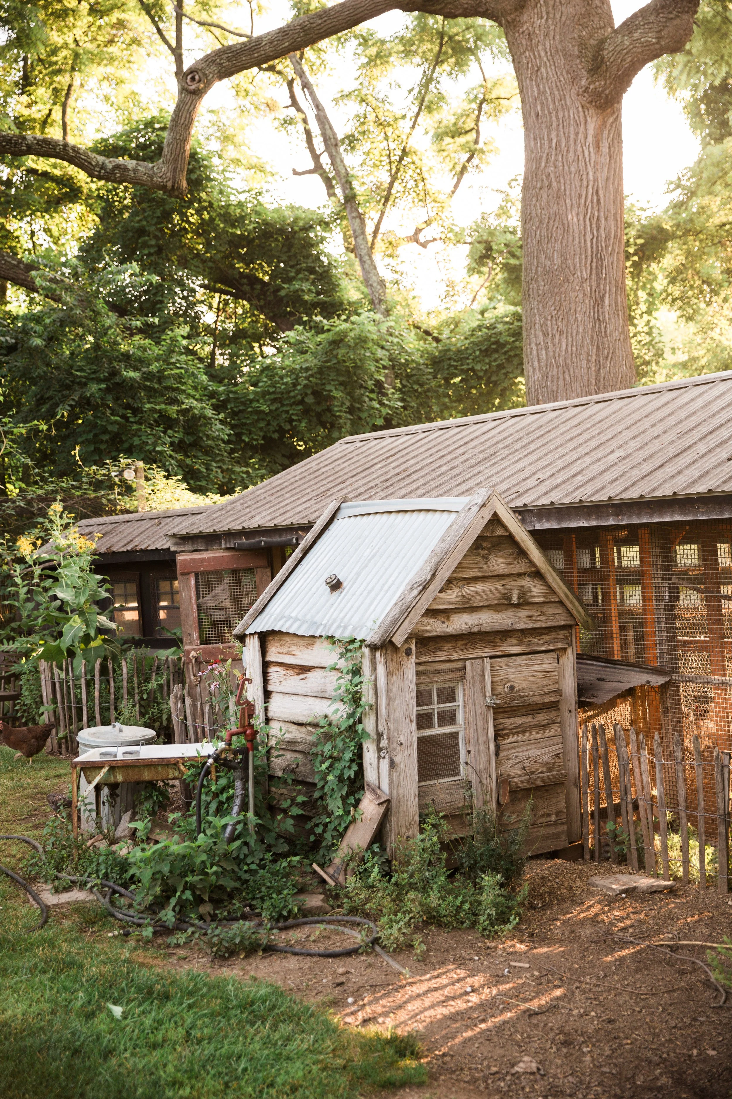 2017_White-Feather-Farm-Summer_034.jpg