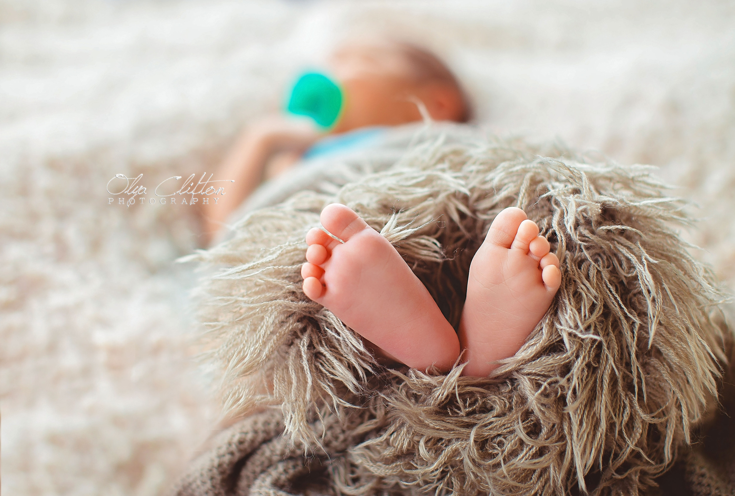 Newborn Session