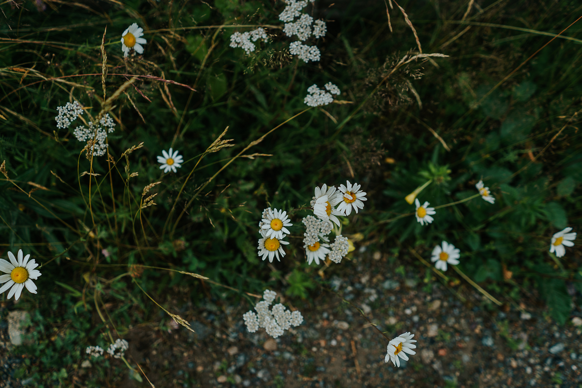 028-washington_dc_family_photography.jpg