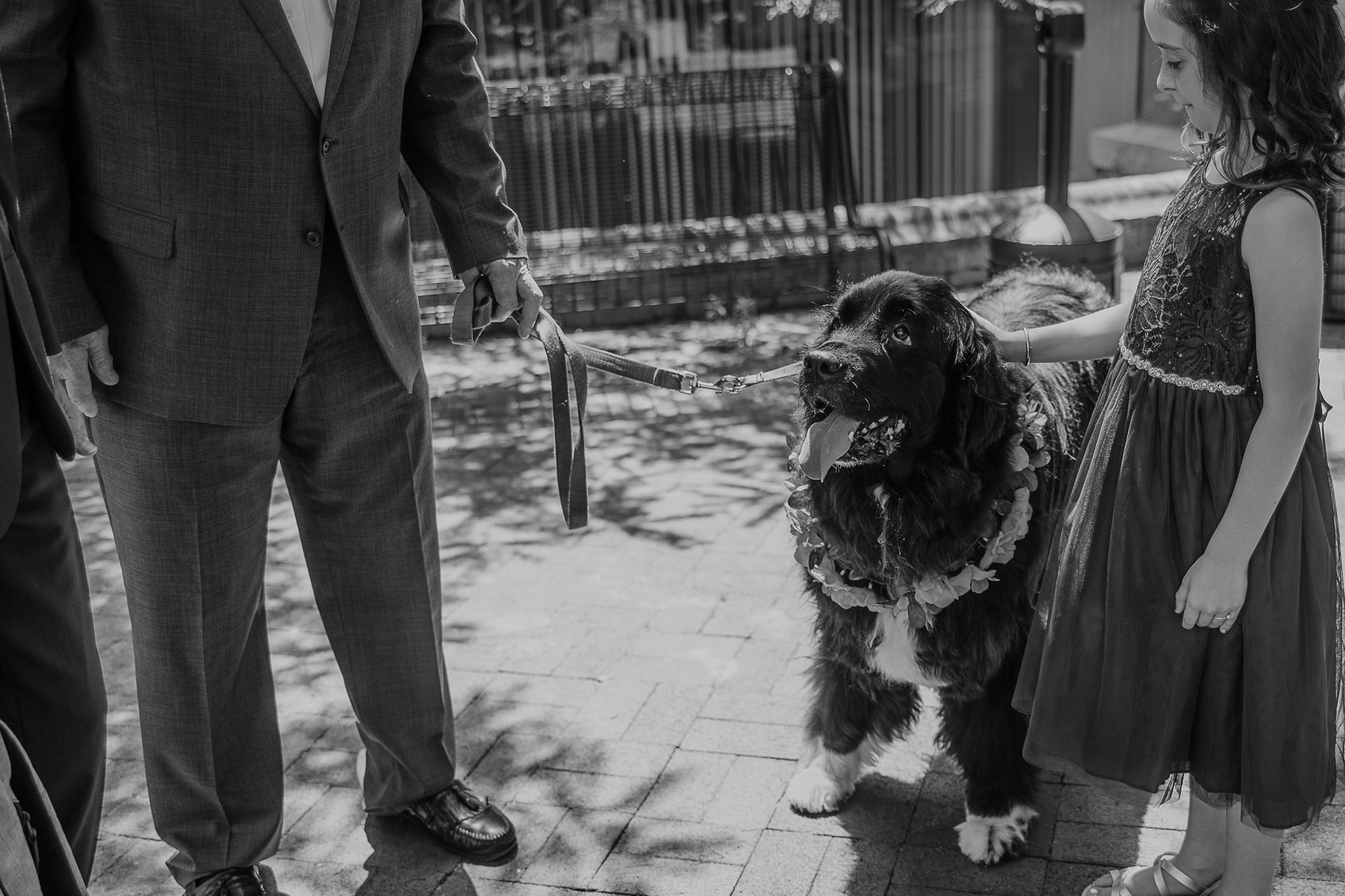 034-annapolis_courthouse_wedding.jpg