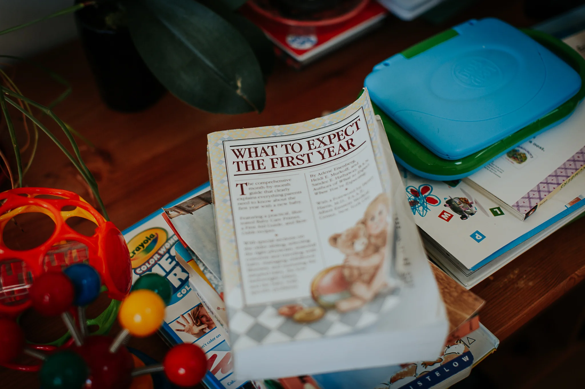 darcy_troutman_photography (31 of 81).jpg