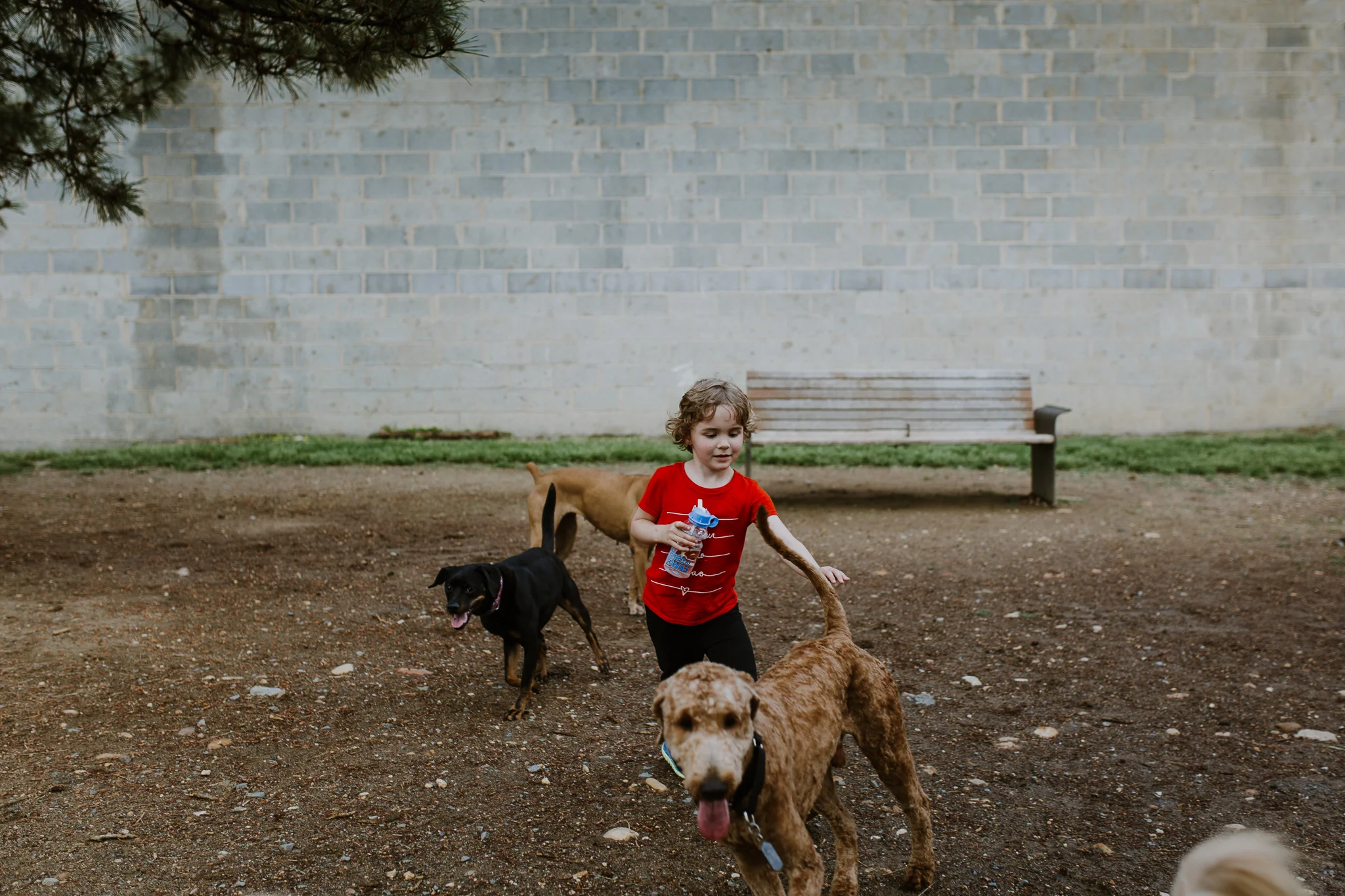 darcy_troutman_photography (27 of 48).jpg