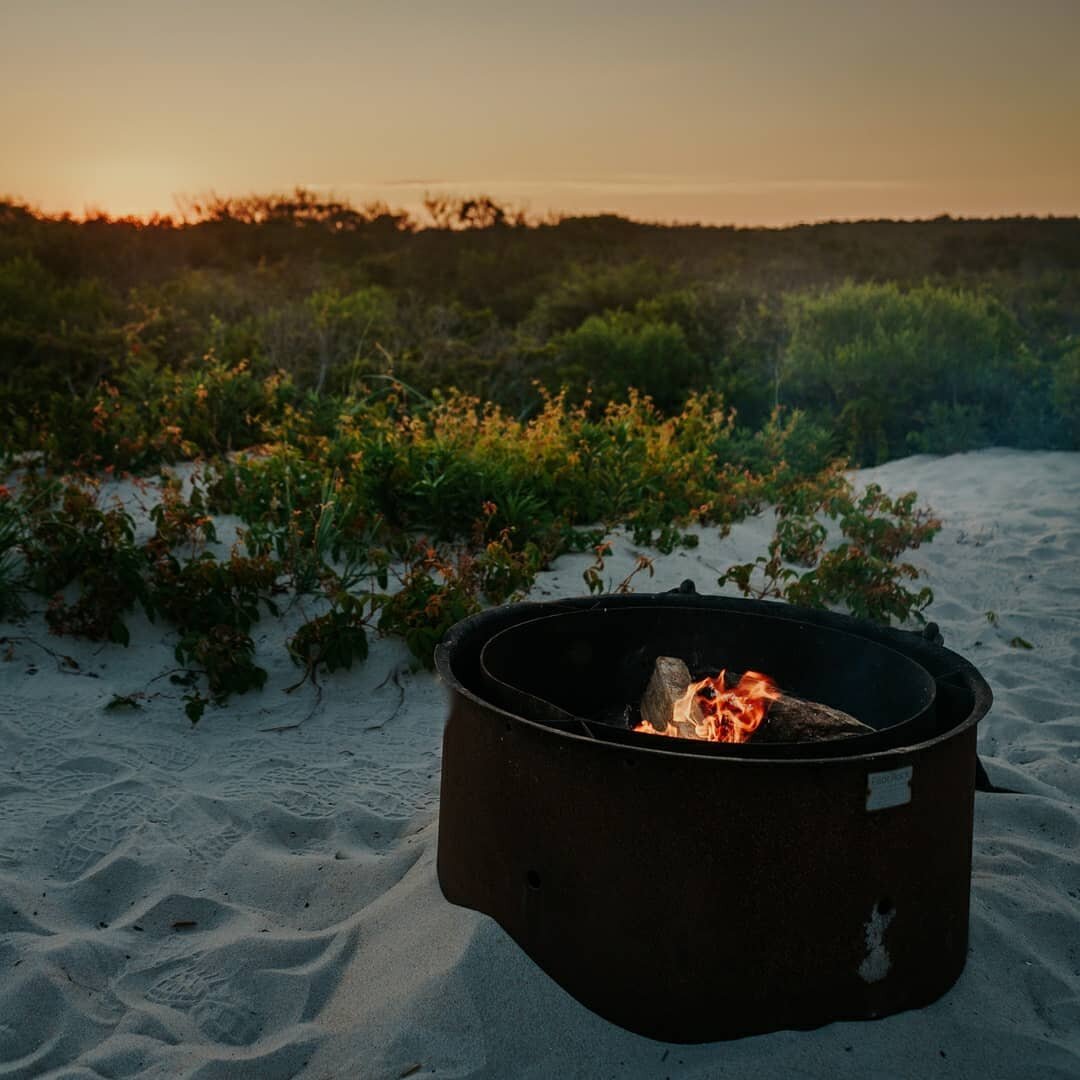 More summer adventures - weeknight camping at Assateague Island is the best of all worlds - play in the ocean all day and camp next to it at night. ⠀⠀⠀⠀⠀⠀⠀⠀⠀-⠀⠀⠀⠀⠀⠀⠀⠀⠀-⠀⠀⠀⠀⠀⠀⠀⠀⠀-⠀⠀⠀⠀⠀⠀⠀⠀⠀#asssateague #assateagueisland #campassateague