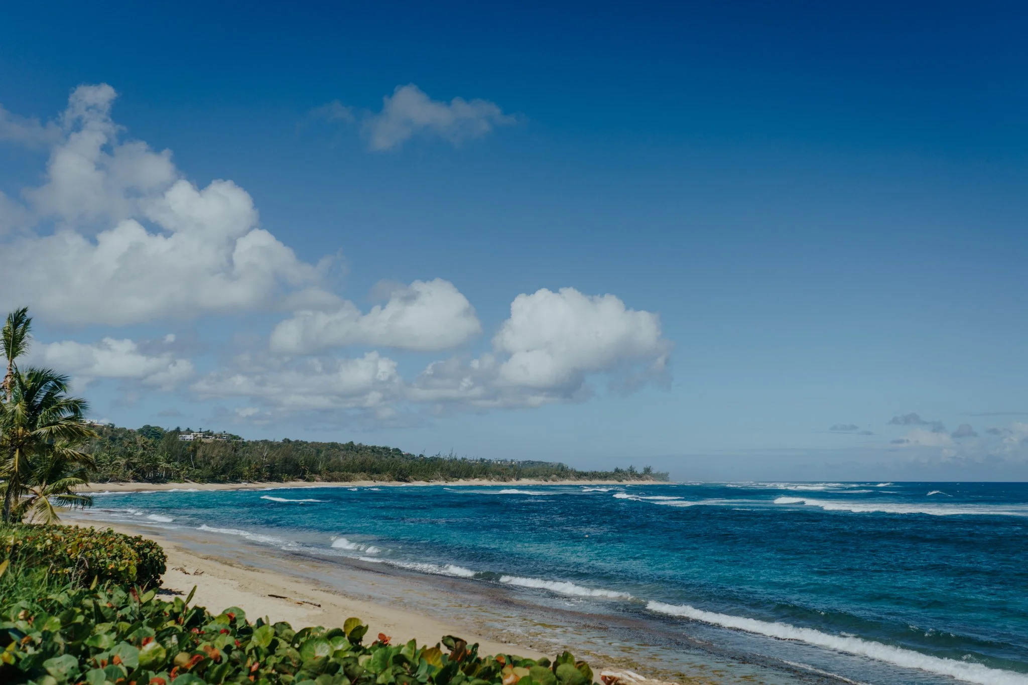Our Family's Spring Break in Puerto Rico - Isabela & Old San Juan ...