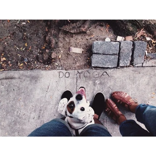 tumblr_n9lb7jh8X31qjkwqko1_500.jpg