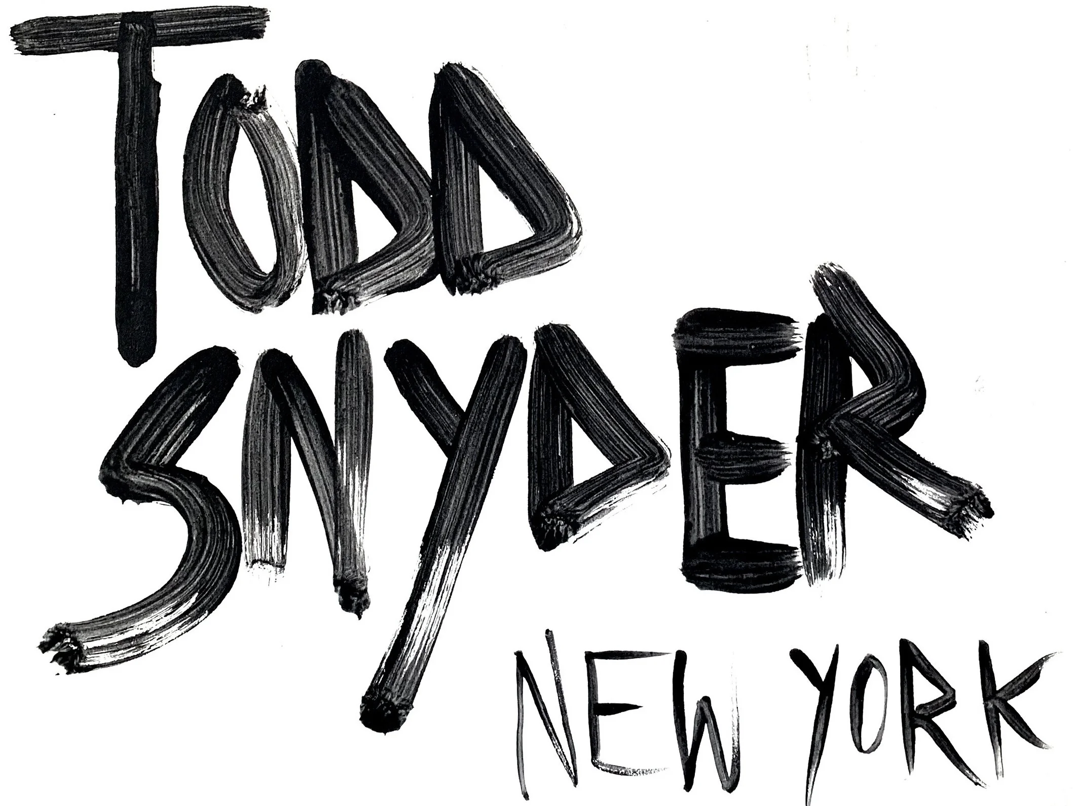 SIX YEARS AT TODD SNYDER