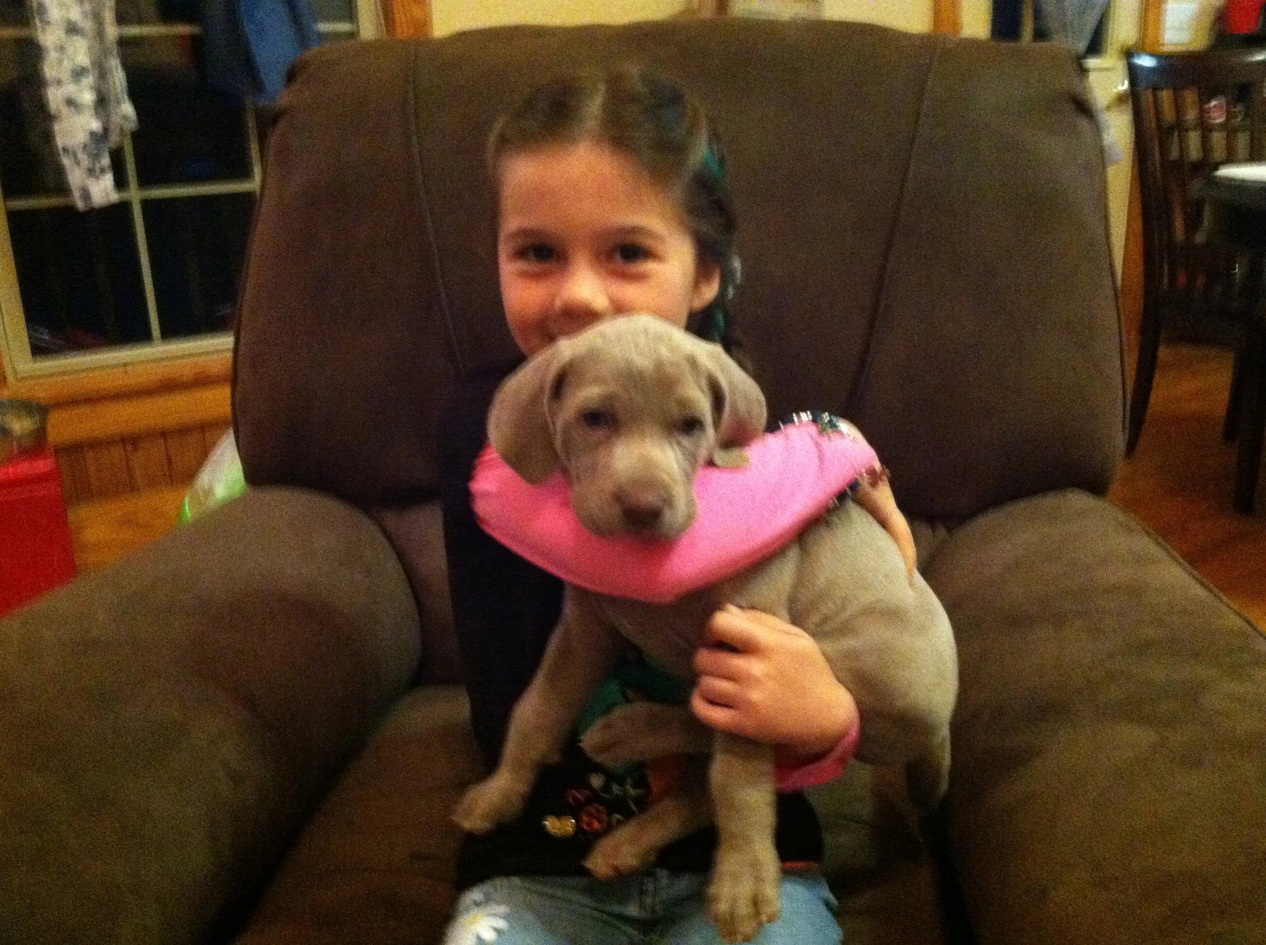 Echo at 6 weeks learning how to be stacked. 