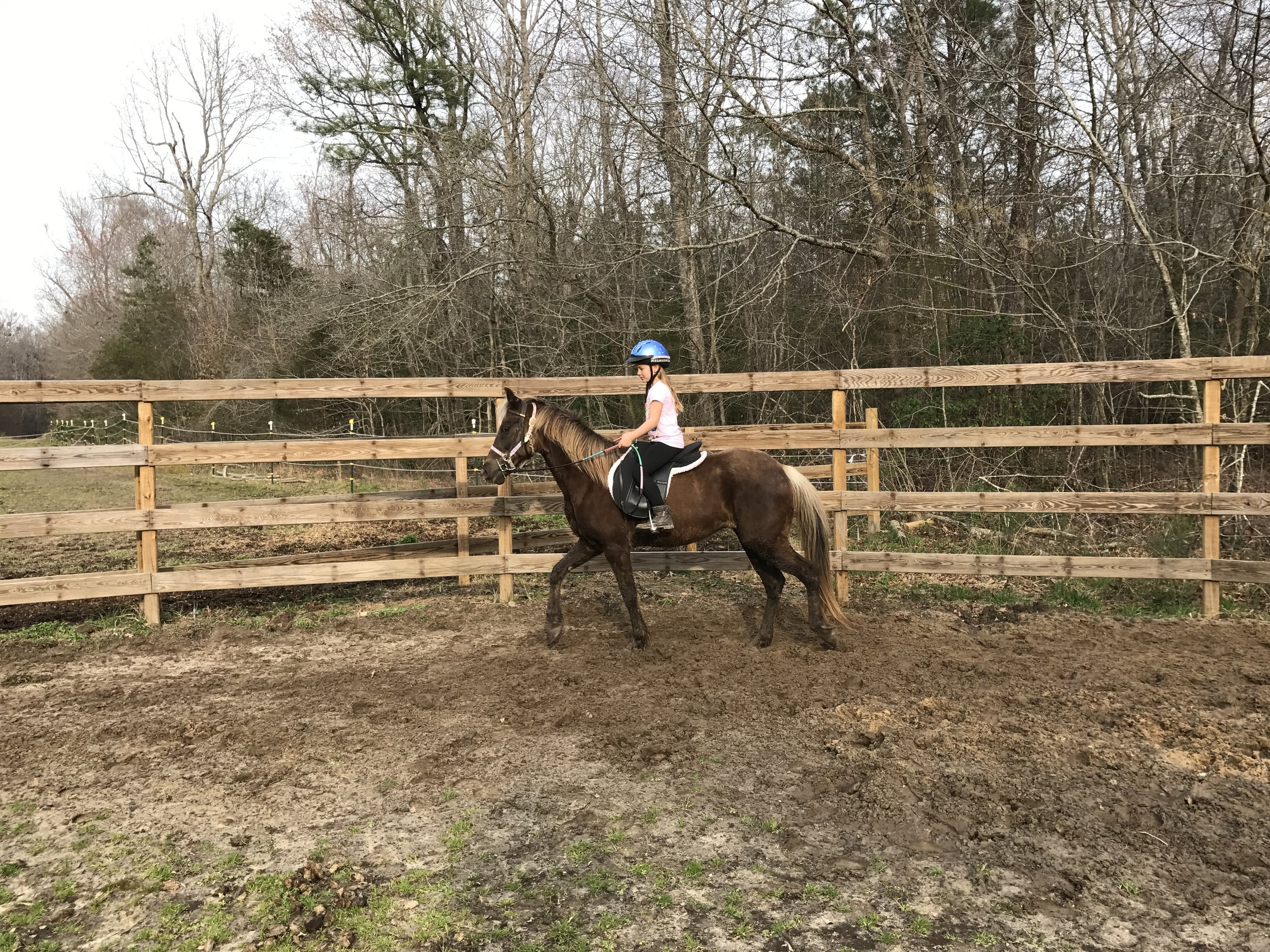 Strides                                        4 Lesson Package