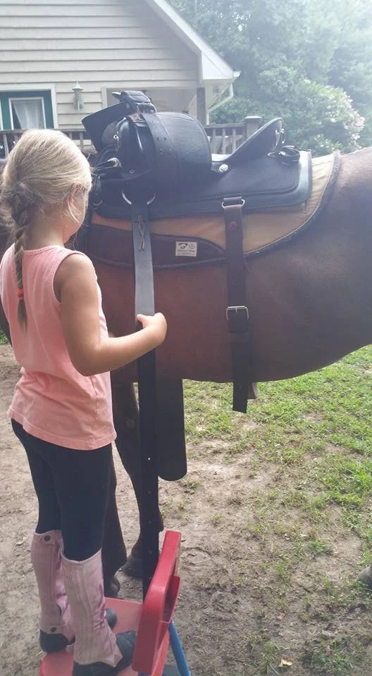 The Riding Lesson Experience