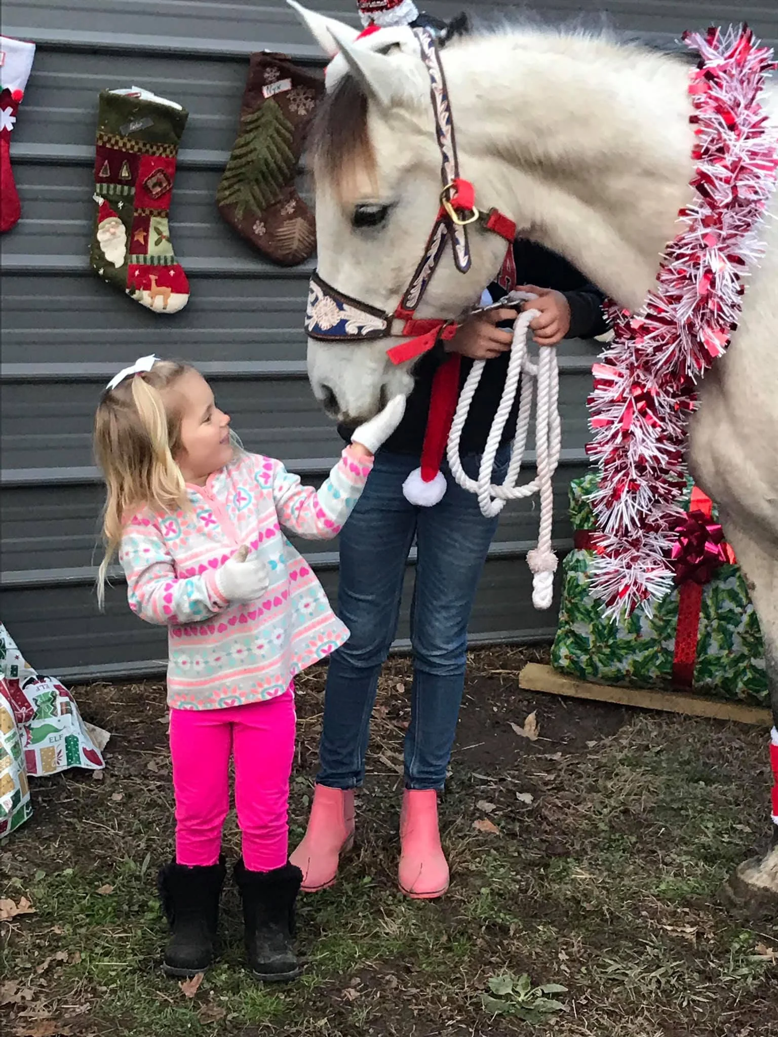 The Evergreen Package (2 Lessons)