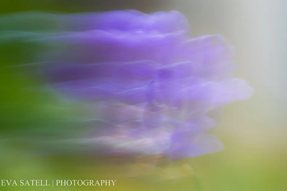 Lavender Abstract Challenge-1.jpg