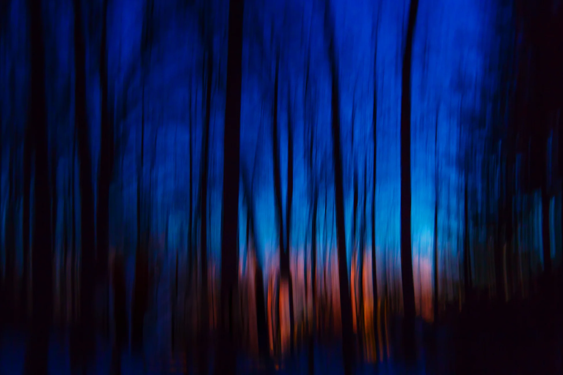 Satell_Dream in color (23 of 30).jpg