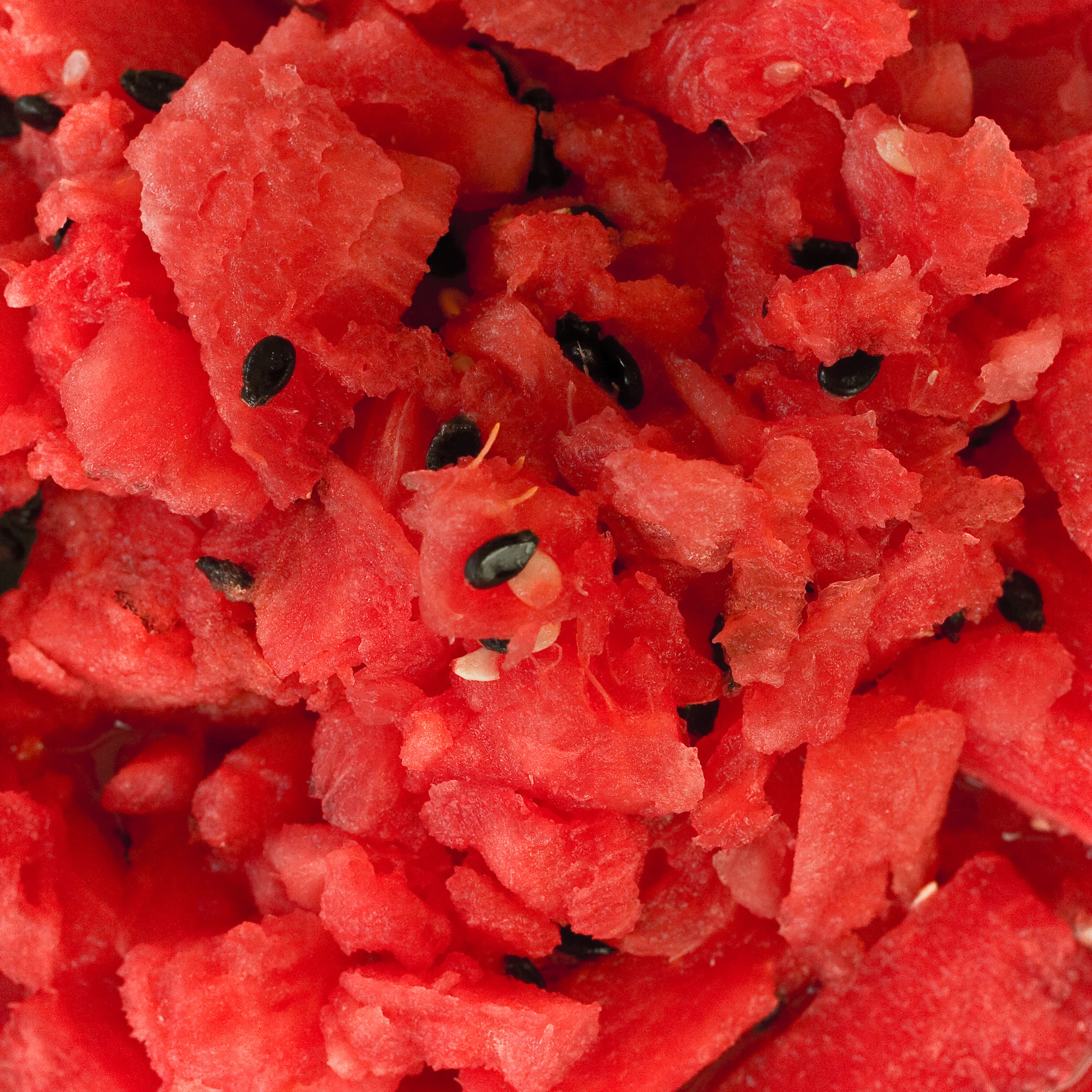 WatermelonManfull.jpg
