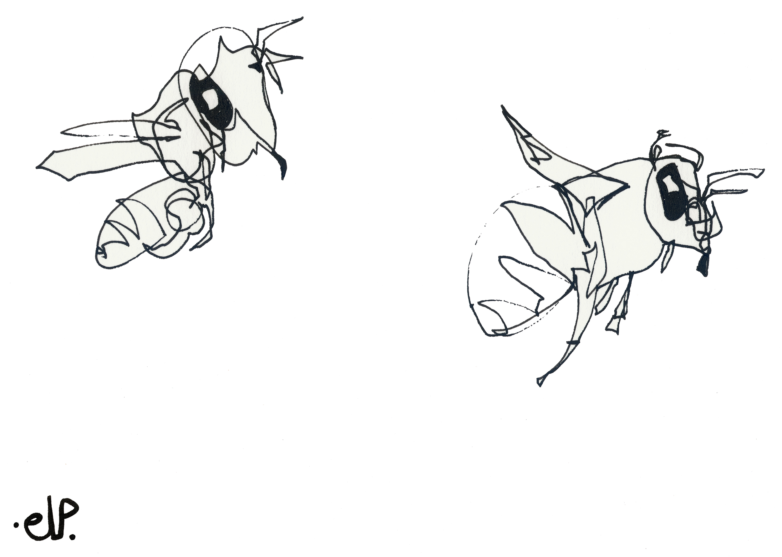 Interbees