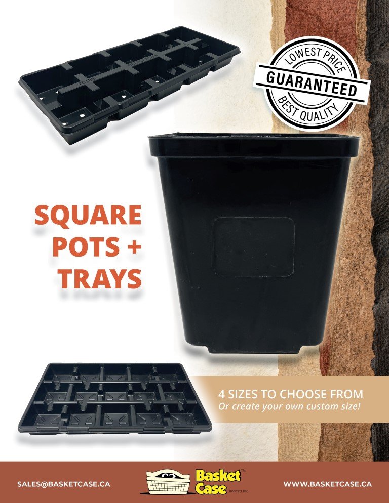 12-06-22 Square Pots + Trays.jpg
