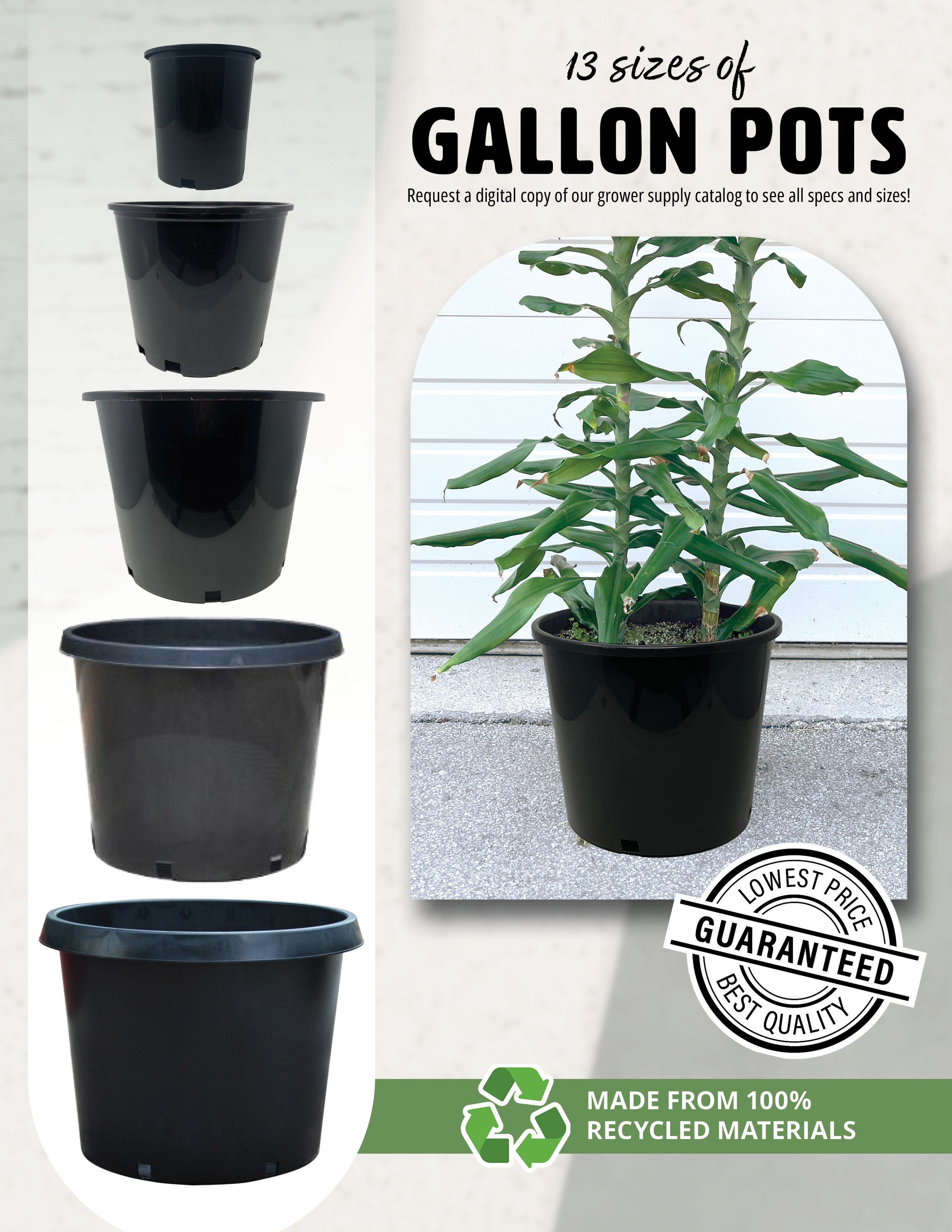 08-30-23 Gallon Pots all sizes.jpg