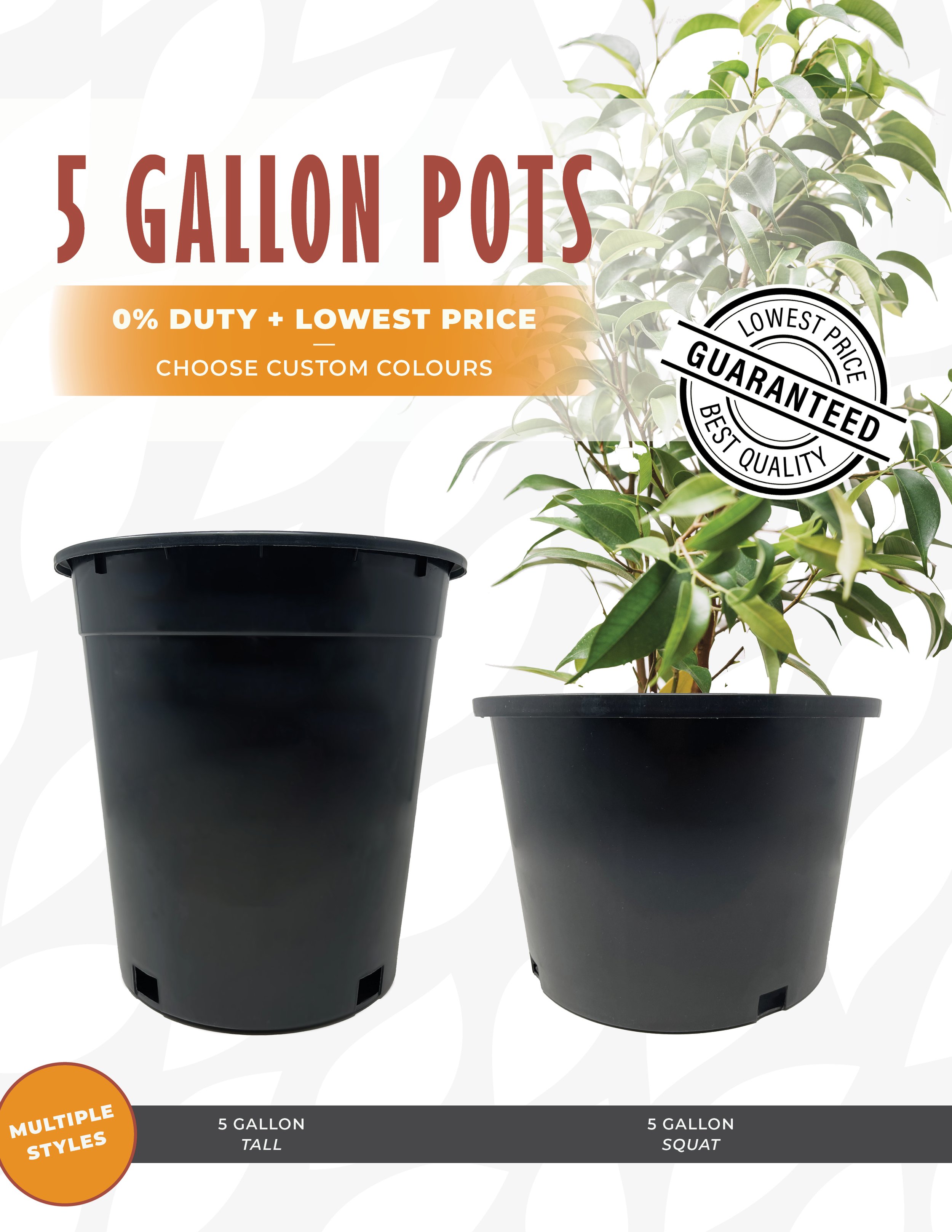 01-24-25 5 Gallon Pots.jpg