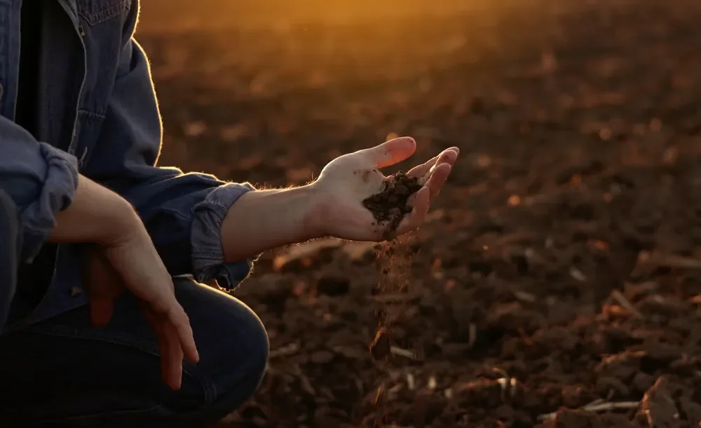 Lawn expert letting rich dirt crumble through their hand over a tilled field during a golden sunset inspection.
