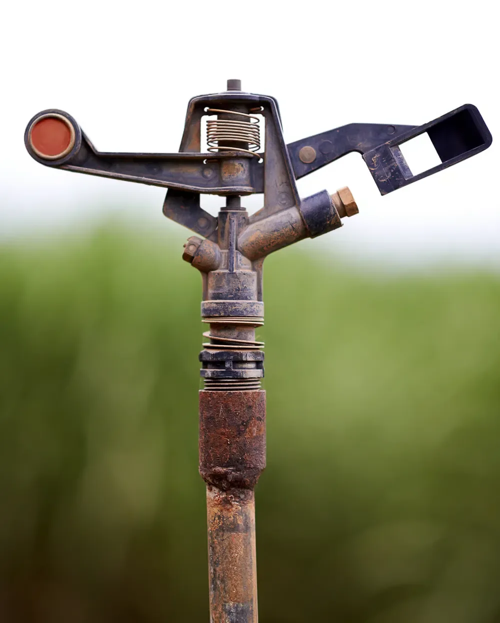 Close-up of a heavy-duty metal impact sprinkler head mounted on an irrigation pipe.