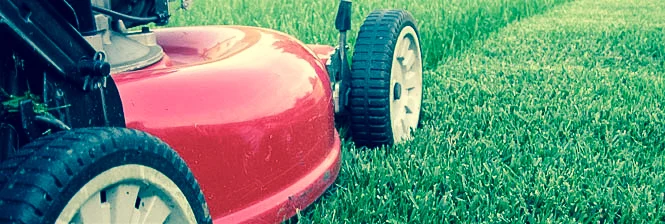 mow-2.jpg
