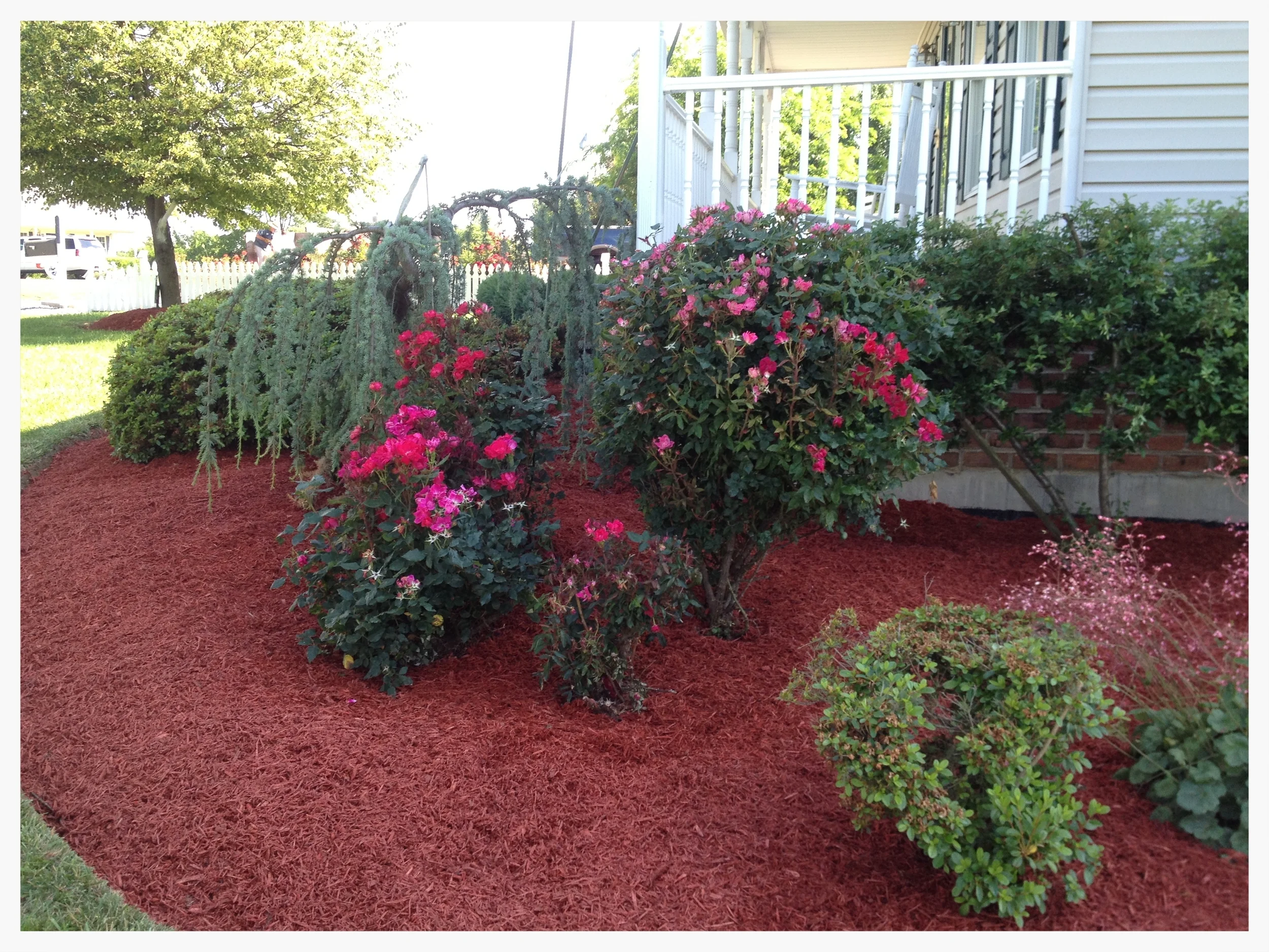 Landscape Clean Up
