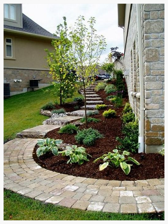 Landscape Clean Up