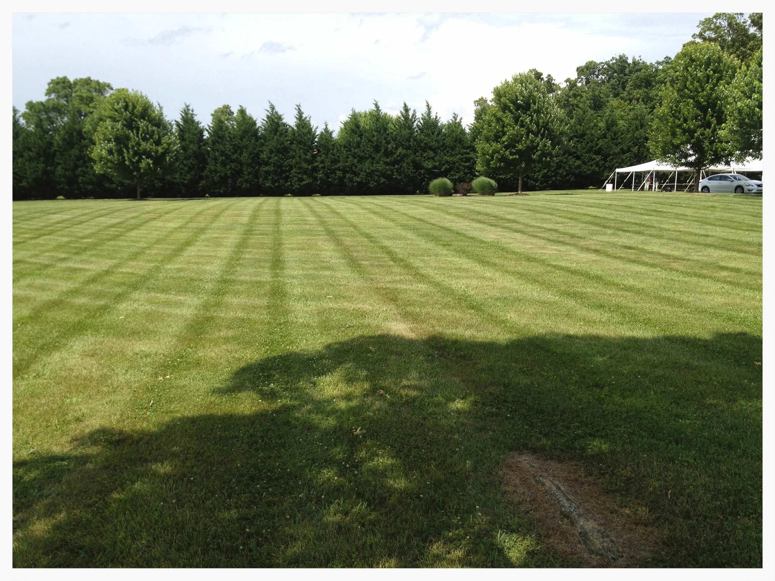 Residential Lawn Maintenance