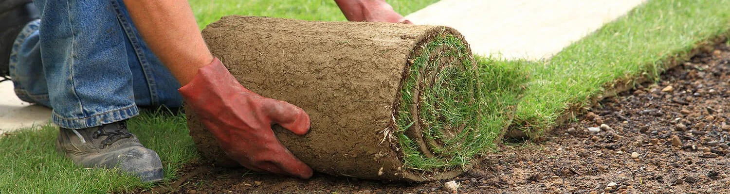 A worker wearing red gloves and blue jeans unrolling a fresh roll of green sod onto prepared dark soil.
