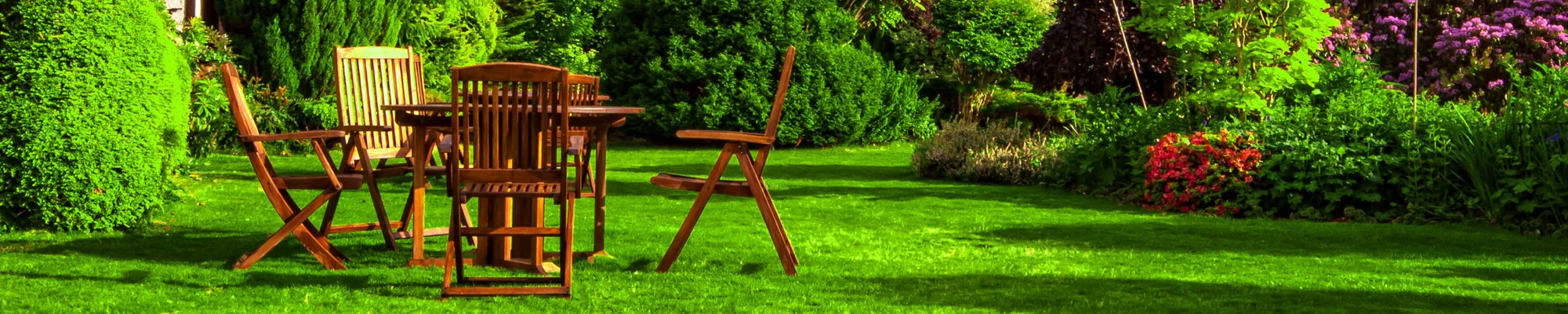 banner4.jpg